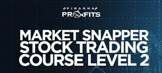 Piranha Profits – Stock Trading Market Snapper Level 2