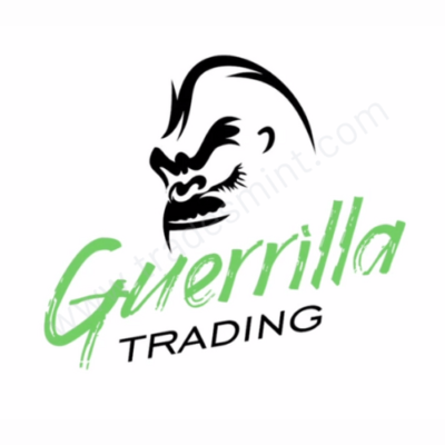 Guerrilla Trading The Bomb Bullet Trade Systems